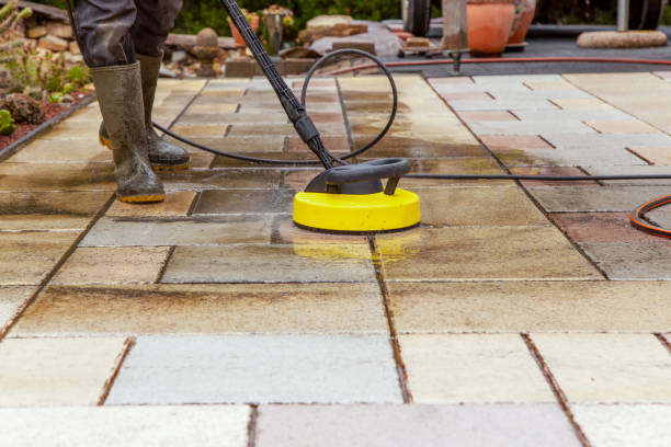 Best House Exterior Washing  in Newark, NY