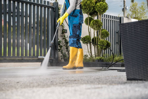 Best Dumpster Area Cleaning  in Newark, NY